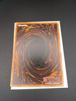 Ghost Sister & Spooky Dogwood - DUDE-EN005 - Ultra Rare 1st Ed Yugioh - Image 3