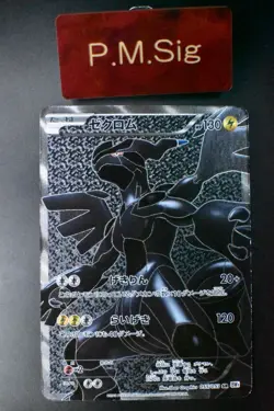 Zekrom 055/053 White Collection 2010 SR Full Art Japanese Pokemon Card - Image 1