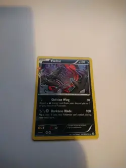 Radiant Collection RC16/RC32 Yveltal pokemon card with black protective sleeve - Image 1