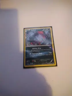 Radiant Collection RC16/RC32 Yveltal pokemon card with black protective sleeve - Image 4