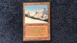 TAIGA dual land plus 4 German FBB Magic the Gathering MTG - Image 2