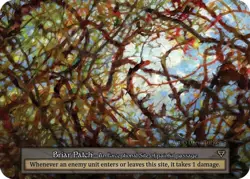 SORCERY CONTESTED REALM FOIL - Briar Patch (Foil) - Arthurian Legends (ART) - Image 1