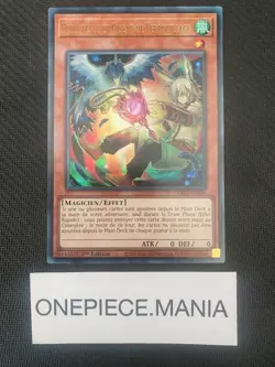 Carte Yu-Gi-Oh! Hurluberlu et Oiseau de Verrouillage RA02-FR006 1st V.2 - Image 3