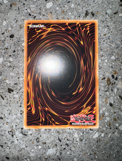 Yugioh TCG Forbidden Droplet L5DD-ENY29 1st Edition NM-M Combined Ship - Image 4