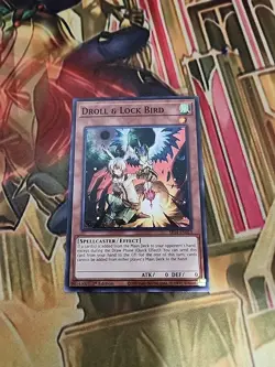Droll & Lock Bird - SR14-EN023 Common 1st Edition NM Yugioh - Image 1