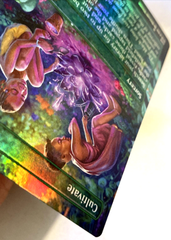 MTG Cultivate BORDERLESS FOIL Secret Lair Drop Series 246 NM - Image 5