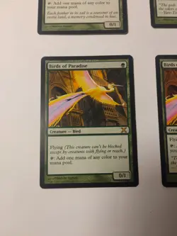 4 X Birds of Paradise 2 X Magic 2012 (M12) , 1 X M10, 1 X X, Light Play - Image 4