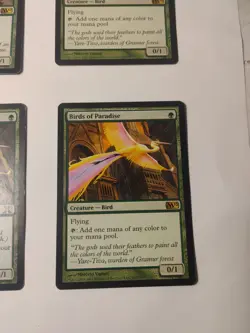 4 X Birds of Paradise 2 X Magic 2012 (M12) , 1 X M10, 1 X X, Light Play - Image 5