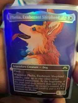 Phelia, Exuberant Shepherd Borderless FOIL #364 | MH3 Modern Horizons 3 | MTG - Image 2