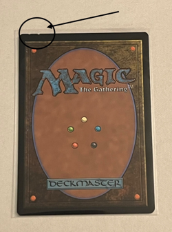 MTG Black Market Connections - The Lost Caverns of Ixalan - #181 - Image 2