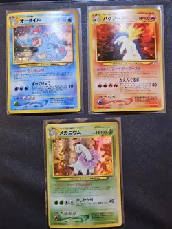 Pokemon Japanese Premium File Holos - Meganium Feraligator Typhlosion NM - Image 1