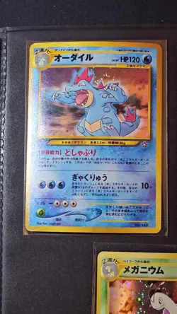 Pokemon Japanese Premium File Holos - Meganium Feraligator Typhlosion NM - Image 2