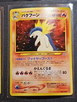 Pokemon Japanese Premium File Holos - Meganium Feraligator Typhlosion NM - Image 3