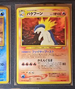 Pokemon Japanese Premium File Holos - Meganium Feraligator Typhlosion NM - Image 5