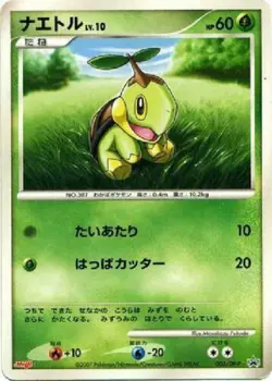 Pokemon Card Japanese Turtwig 005/DP-P Meiji Promo EX - Image 1