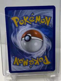 Pokemon TCG Morpeko SWSH Black Star Promo SWSH031 Holo Near Mint Free Ship! - Image 4