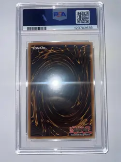 Blue-Eyes White Dragon YAP1-EN001 Ultra Rare PSA 8 NM-MT Yugioh - Image 2