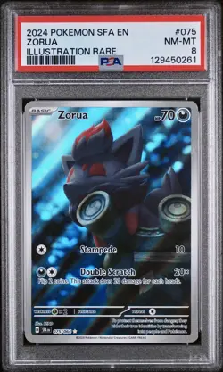 POKEMON PSA 8 ZORUA ILLUSTRATION RARE 075/064 SHROUDED FLABLE ENGLISH 2024! - Image 1