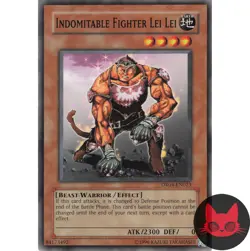 Yugioh Indomitable Fighter Lei Lei DR04-EN023 Common NM - Image 1