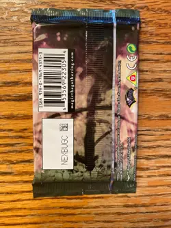 Lorwyn MTG Booster Pack x (1) Factory Sealed Condition (RG) 040525.04 4RCards - Image 2