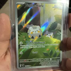 2025 Pokemon TCG. Phantasmal Flames. Togedemaru IR. 104/094 NM - Image 4