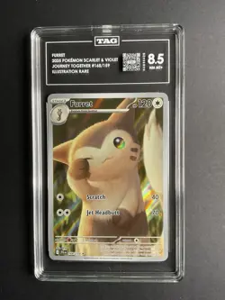 Furret 168 TAG 8.5 2025 Pokemon JTG EN Illustration Rare - Image 1