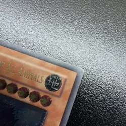 Behemoth the King of All Animals (UTR) FET-EN014 Flaming Eternity 1st Edition LP - Image 4