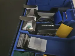 MASSIVE Magic the Gathering 13,000+ Organized Card Collection Set - Image 3