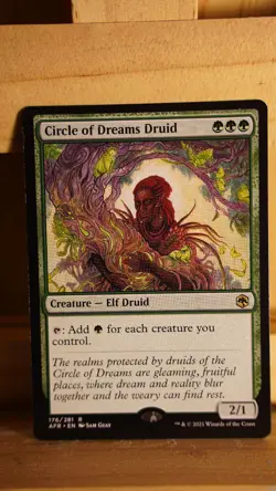 Circle of Dreams Druid - NM - Adventures in the Forgotten Realms - MTG - Image 1