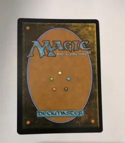 Magic the Gathering-Lorwyn Eclipsed/Hallowed Fountain FOIL 0265 - Image 2