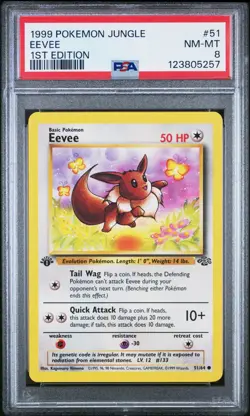 PSA 8 Pokemon Jungle 1999 #51/64 Eevee 1st Edition WOTC TCG English - Image 1