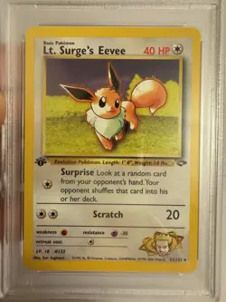2000 Pokemon 1st Edition Lt. Surge’s Eevee Gym Challenge 51/132 PSA 9 Mint! WOTC - Image 3