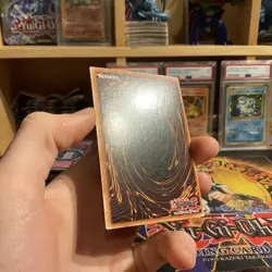 Kuriboh - MRD-E071 - Super Rare Unl LP - Yugioh Vintage Card OG Print - Image 5