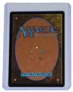 Training Grounds (Borderless) Foil #20 Mythic Rare NM Avatar Airbender Magic MTG - Image 2