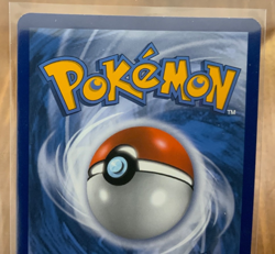Pokemon TCG Eevee GX SM233 Full Art Black Star Promo Sun & Moon NM - Image 5