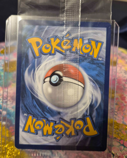 NEW SEALED Obsidian Flames Charmander #044 SVP En Black Star Promo Pokemon - Image 2