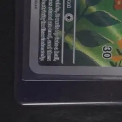 2025 POKEMON PHANTASMAL FLAMES - PFL EN #104/094 TOGEDEMARU ILLUSTRATION RARE - Image 4