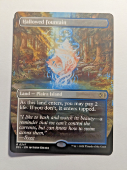 Hallowed Fountain 347 Regular (Borderless) Lorwyn Eclipsed MTG Double Sided - Image 1