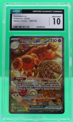 CGC 10 Dachsbun EX 169/142 Stellar Crown Special Illustration Rare Pokemon Card - Image 1