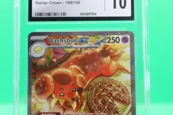CGC 10 Dachsbun EX 169/142 Stellar Crown Special Illustration Rare Pokemon Card - Image 3