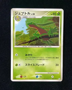 2009 Pokemon TCG Card Japanese 006/090 Grovyle Holo Y11 -YD07 - Image 1