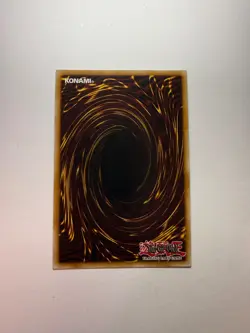 Yugioh - Dark Magician Girl - Super Rare - Unlimited - STP1-EN002 LP - Image 2