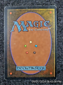 Seraph - LIGHT PLAY English MTG 5th Edition (DS3D1H6) - Image 4