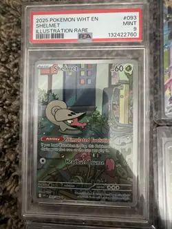 Bulk Pokemon TCG SIR Full Arts Holo Rare Card Collection - Image 2