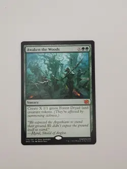 Awaken the Woods The Brothers' War Regular - Image 1