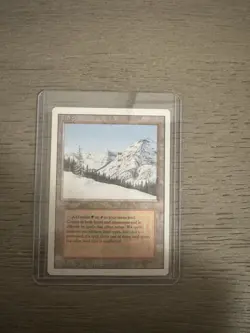 Taiga Revised Edition Regular - Image 1