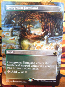Overgrown Farmland - Extended Art - NM (unplayed) - Innistrad Midnight Hunt - Image 1