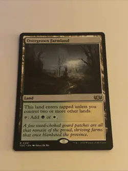 Overgrown Farmland #381 | Near Mint | Tarkir Dragonstorm Commander TDC Magic MTG - Image 1