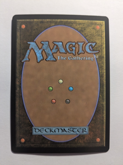 Hallowed Fountain Foil ECL 0265 Lorwyn Eclipsed MtG - Image 2