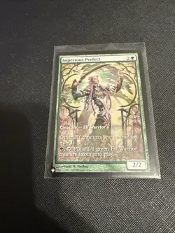 Champs and States Imperious Perfect - Image 2